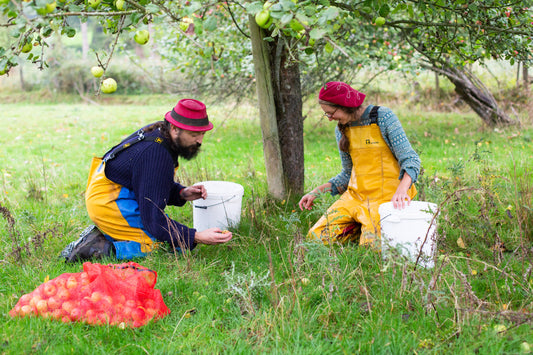 Artistraw cider carbon accounting