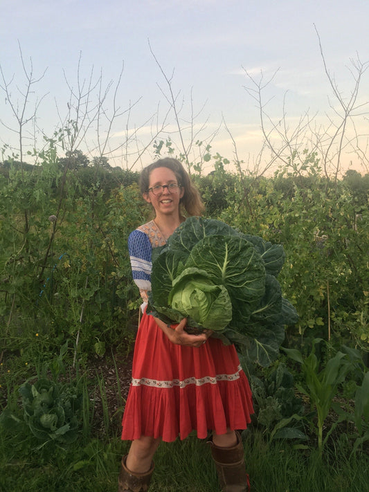The long awaited cabbage