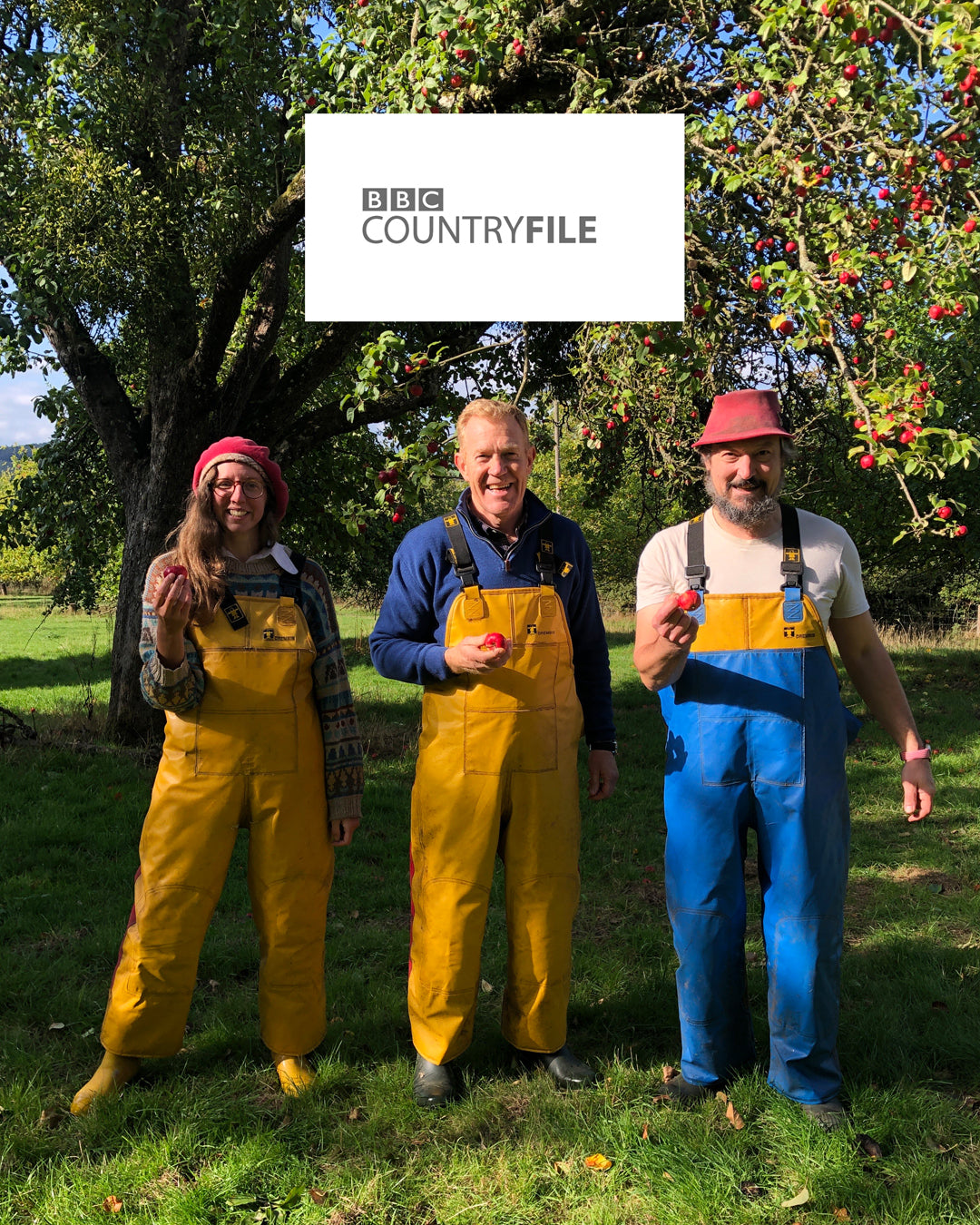 Countryfile mixed cider case (2x 75cl ciders, 1x 75cl cyser)