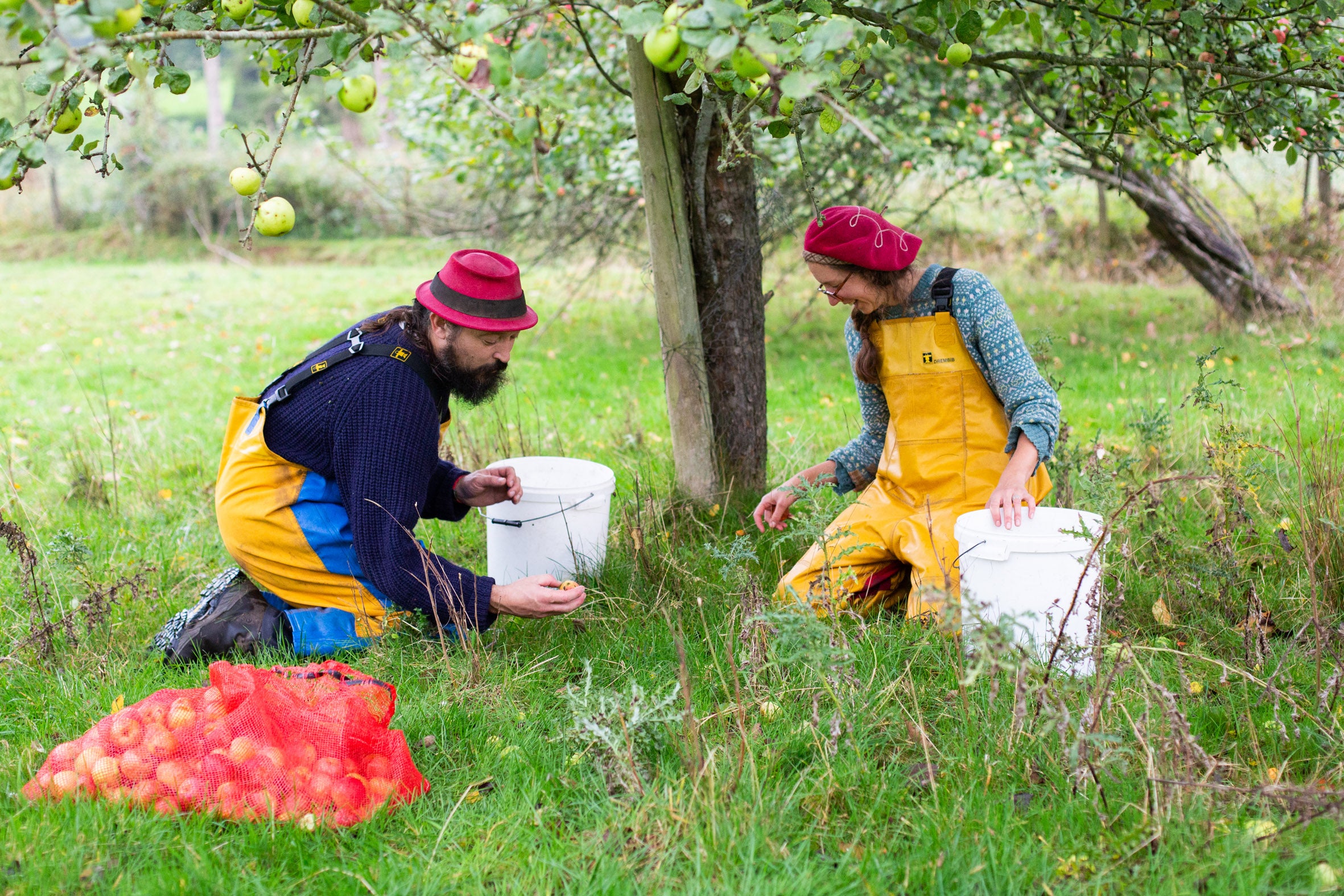 Artistraw Cider