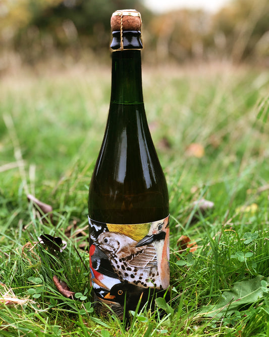 Flock cider (2023, dry, ancestral method)