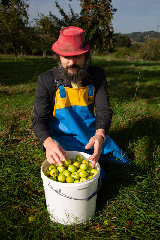 Bisquet cider (2023, medium dry, ancestral method)