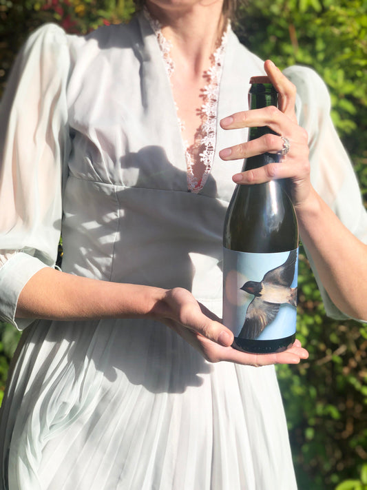 Person holding a bottle of cider with a label featuring a bird, outdoors.