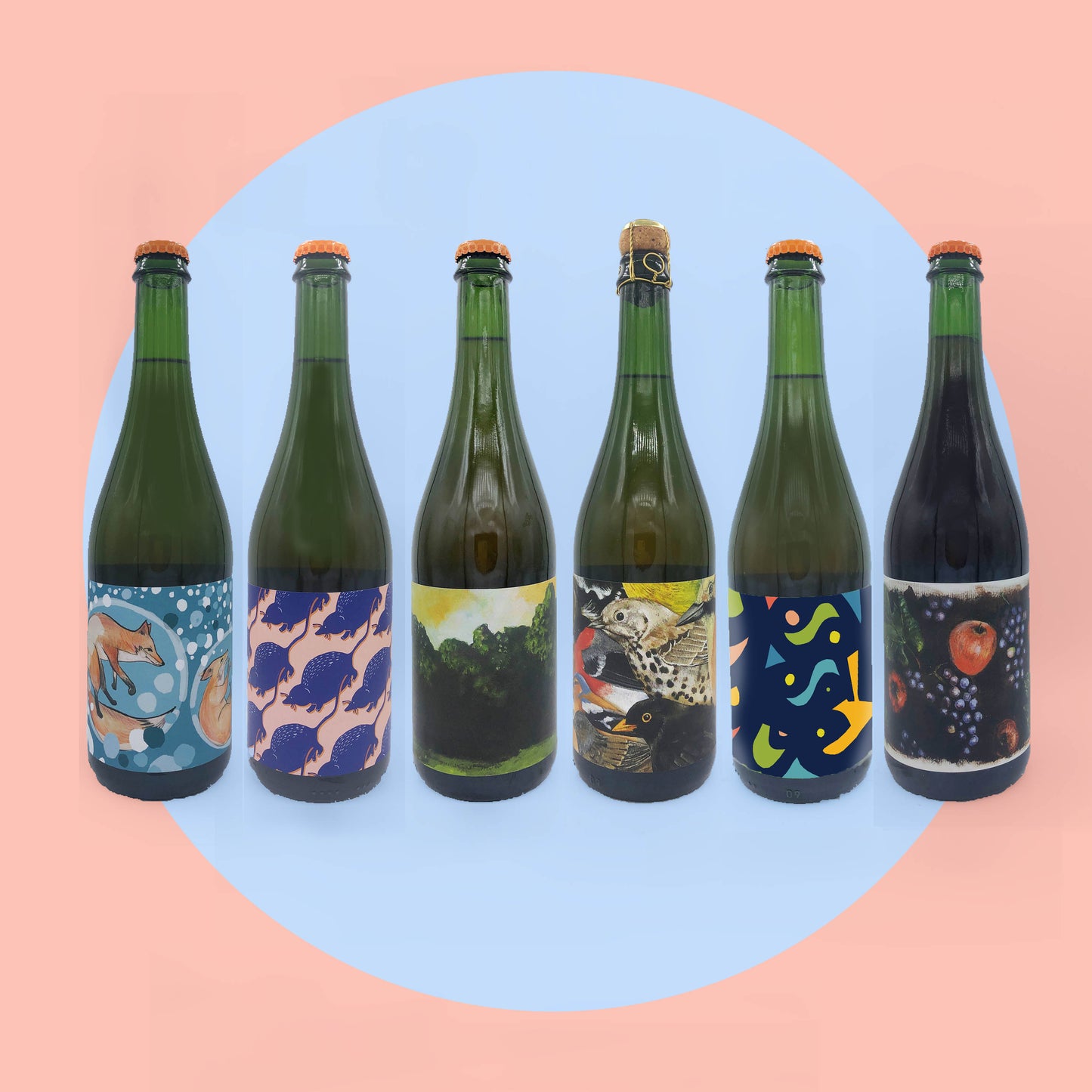 A little bit of everything mixed case (5x 75cl ciders, 1x 75cl skin contact cider)