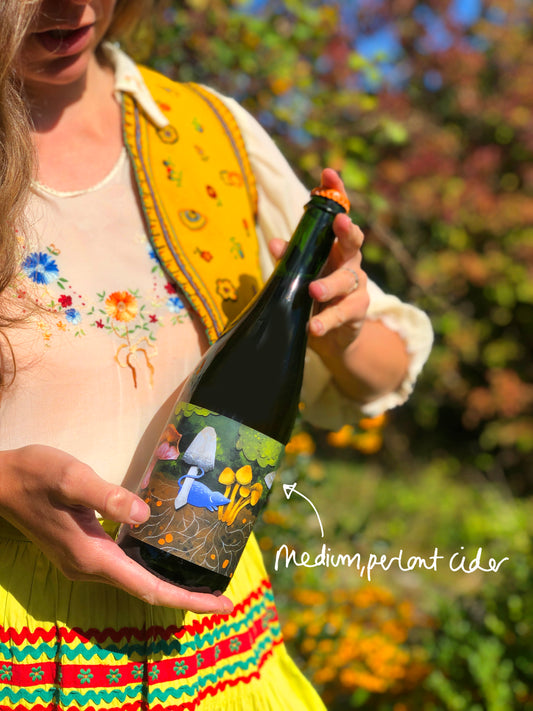 Earthy Delights cider (2024, medium, perlant)