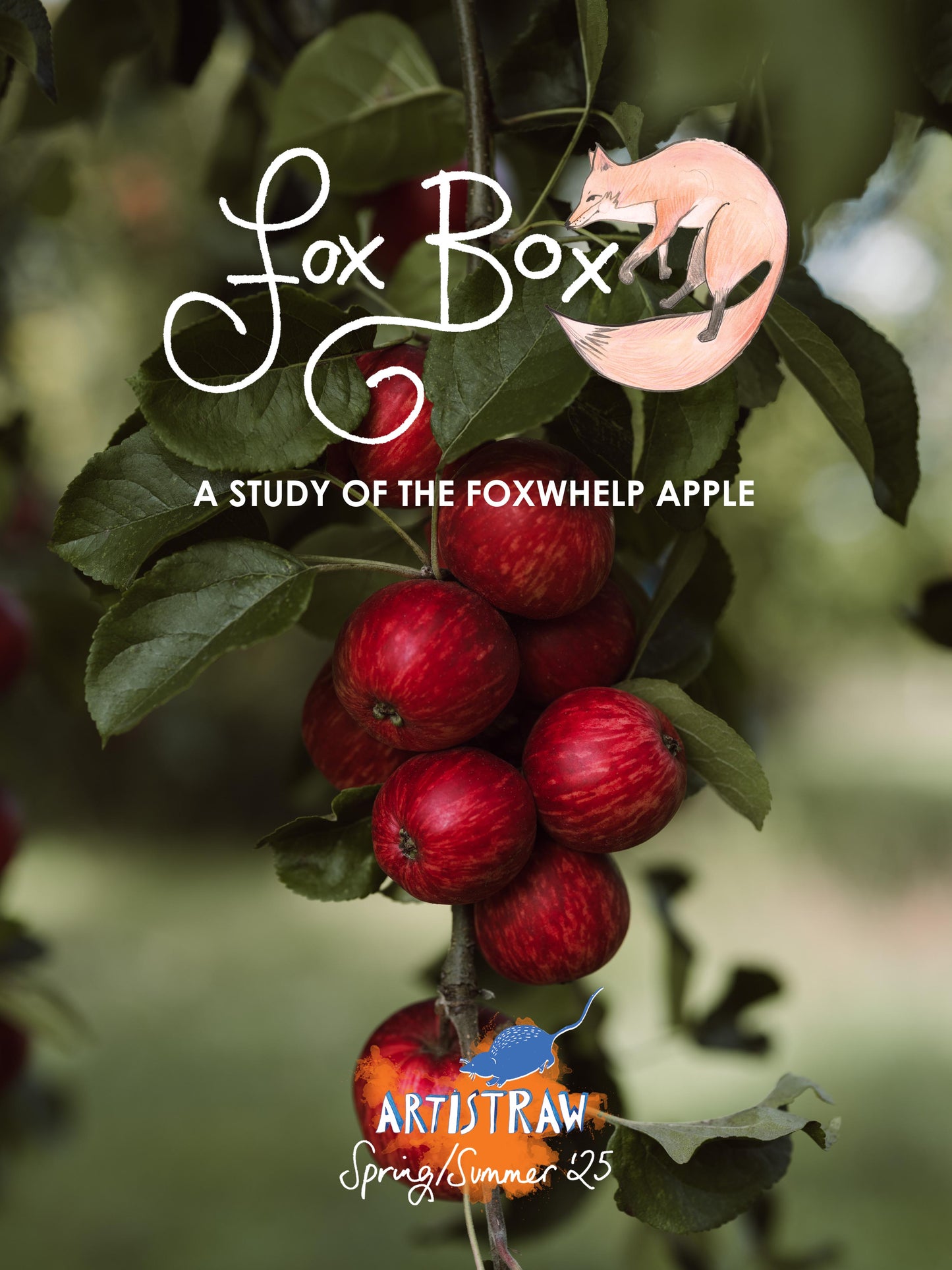 New release 'Fox Box' mixed case (3x 75cl ciders, 1x 75cl skin contact cider, 1x ciderkin plus artwork postcards)