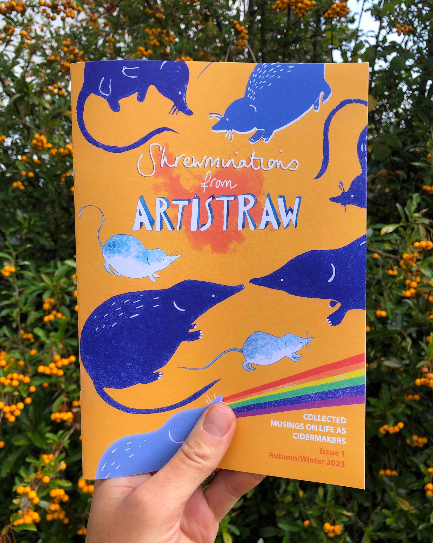 'Shrewminations' the Artistraw 'zine