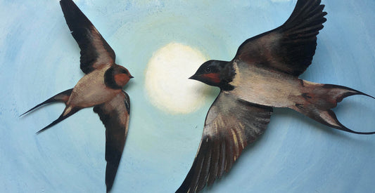 Shop small and benefit swallows, not amazons!