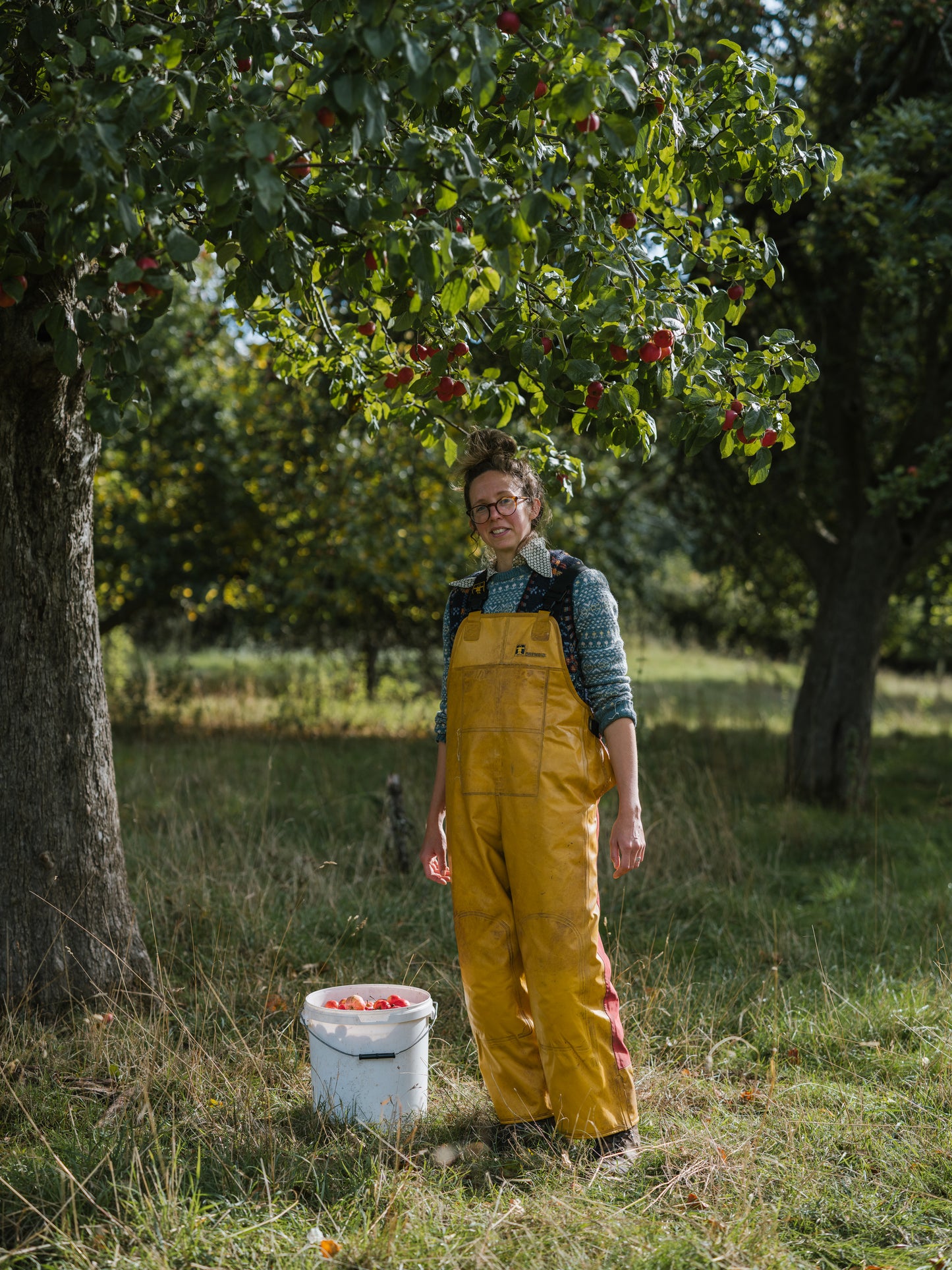 Person in yellow overalls standing under a tree with fruit, holding a bucket of apples.
