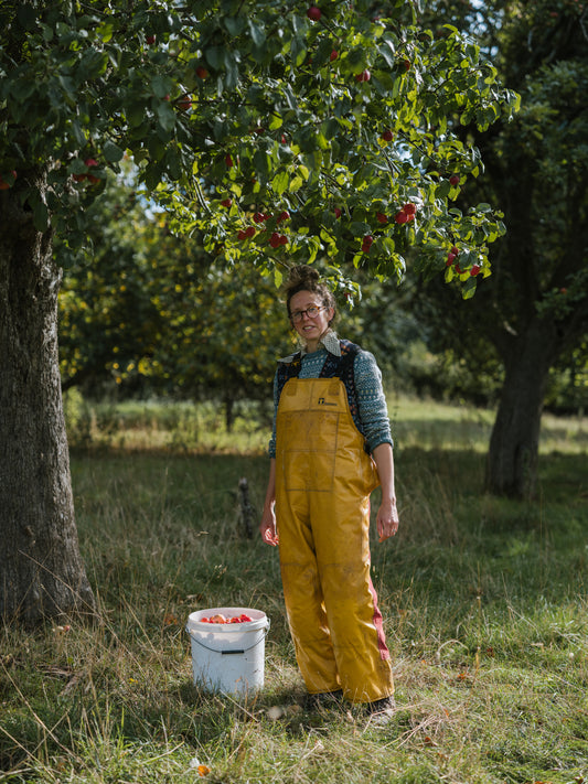 Flock cider (2023, dry, ancestral method)