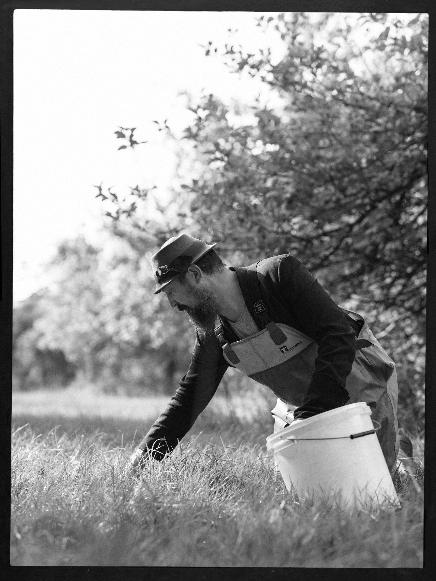 Earthy Delights cider (2024, medium, perlant)