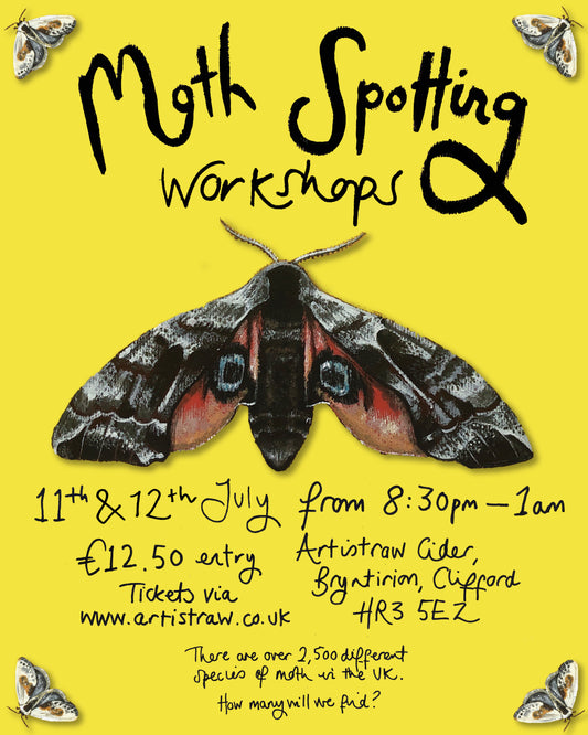Moth spotting workshops in the orchard (11th July & 12th July)