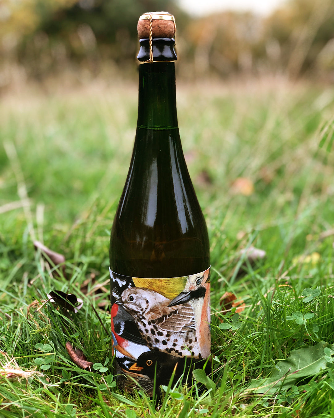 Countryfile mixed cider case (2x 75cl ciders, 1x 75cl cyser)