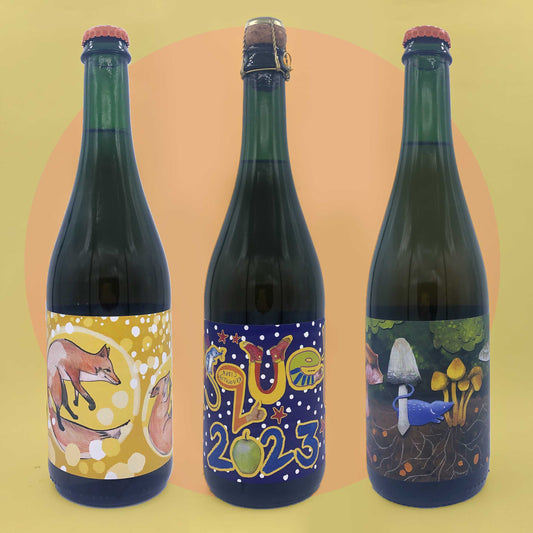 A little bit of everything mixed case (3x 75cl ciders)