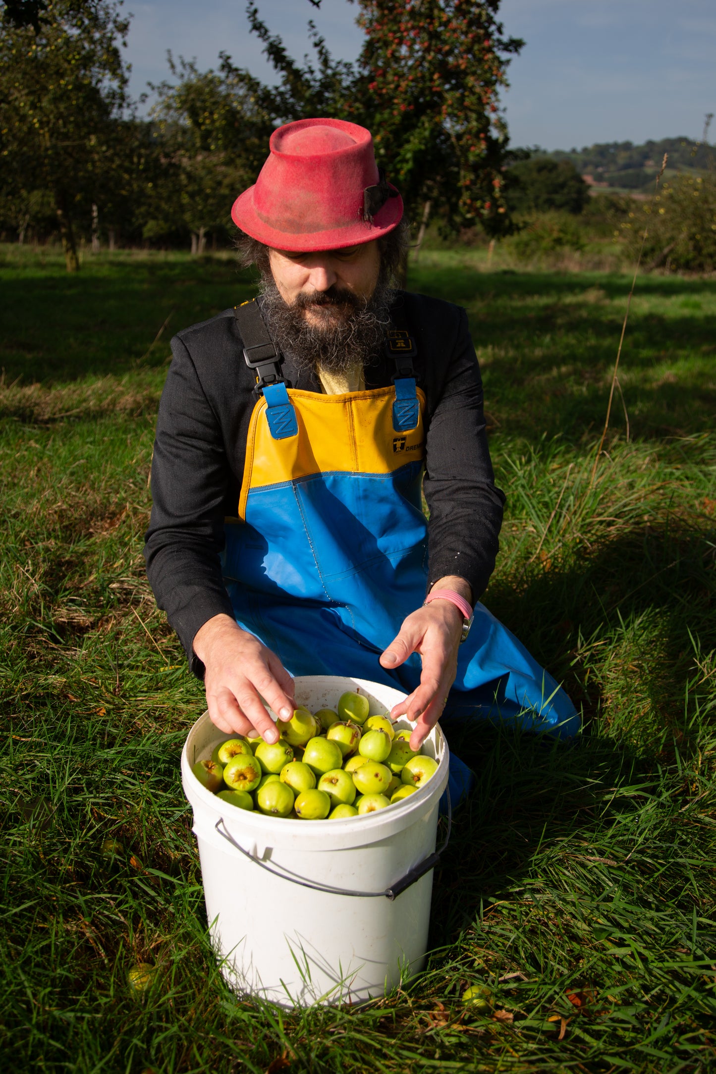 Person in an orchard with a bucket of green apples wearing a red hat and blue overalls.