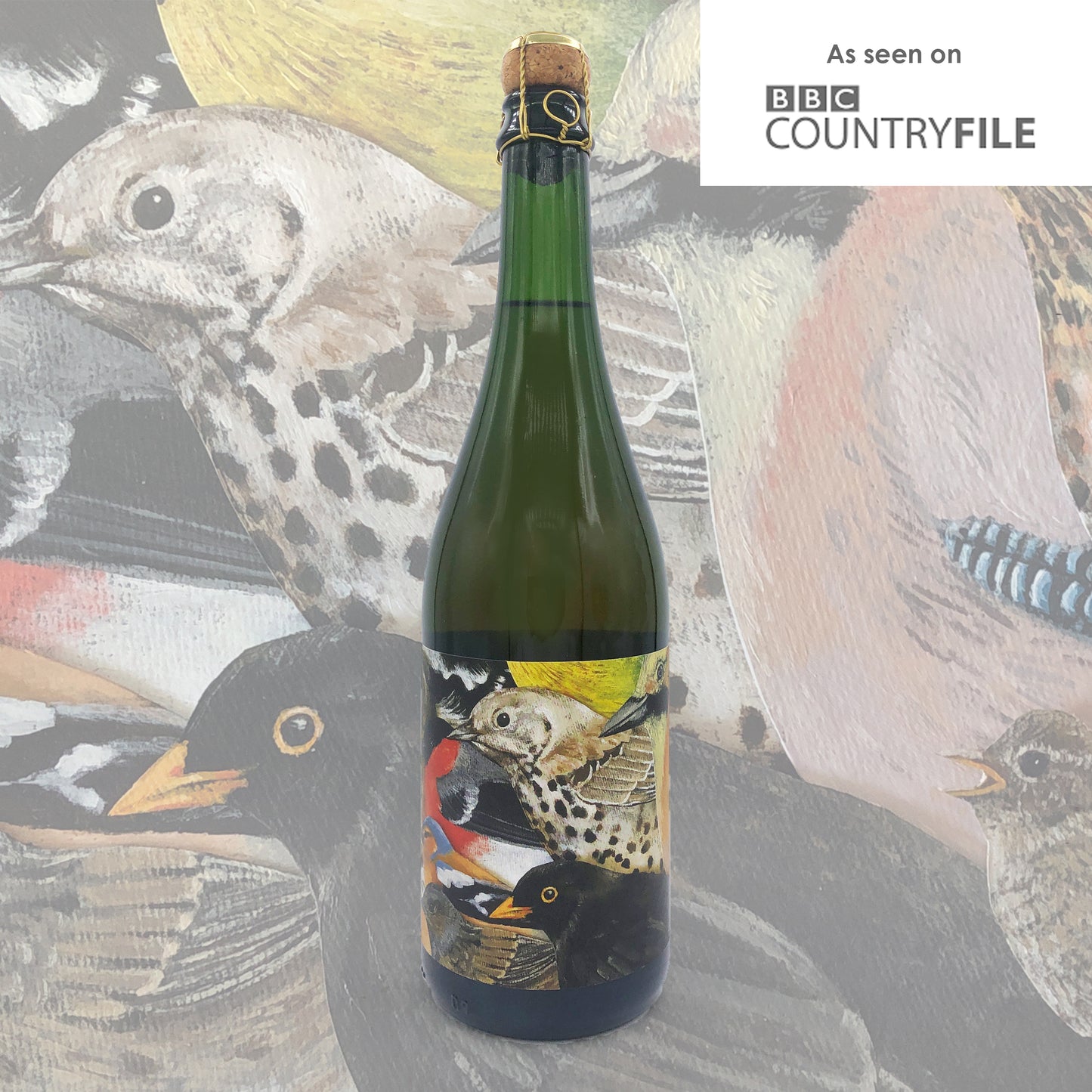 Sparkling cider mixed case (3x 75cl ancestral method ciders)