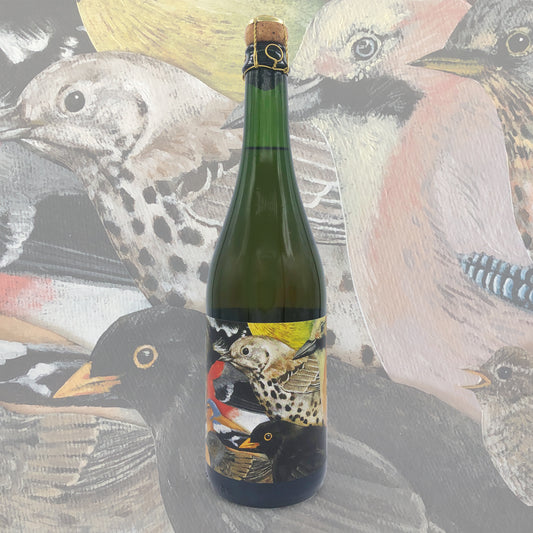 Bottle of cider with a colorful label featuring birds, against a background of bird illustrations.