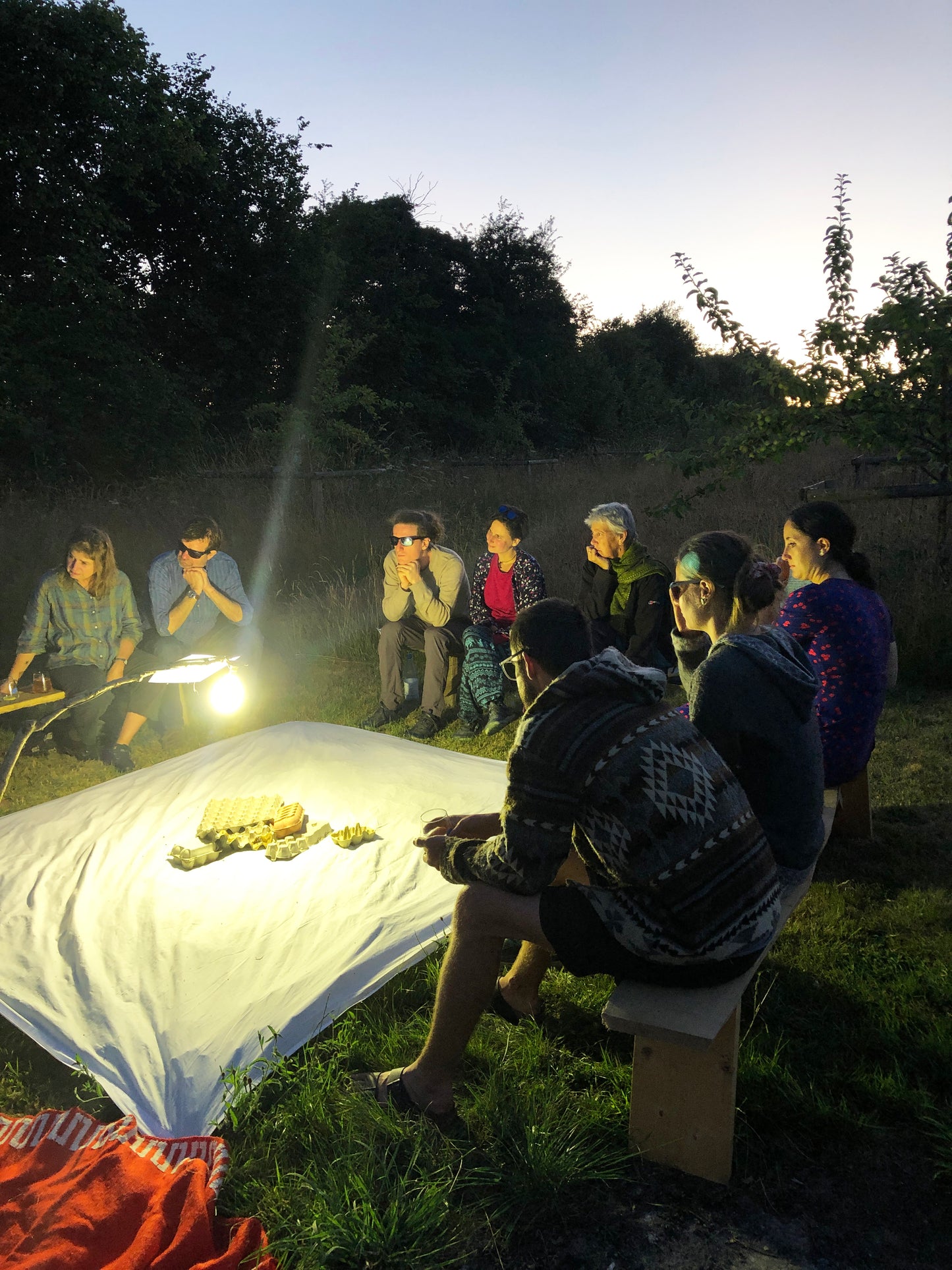 Moth spotting workshops in the orchard (11th July & 12th July)