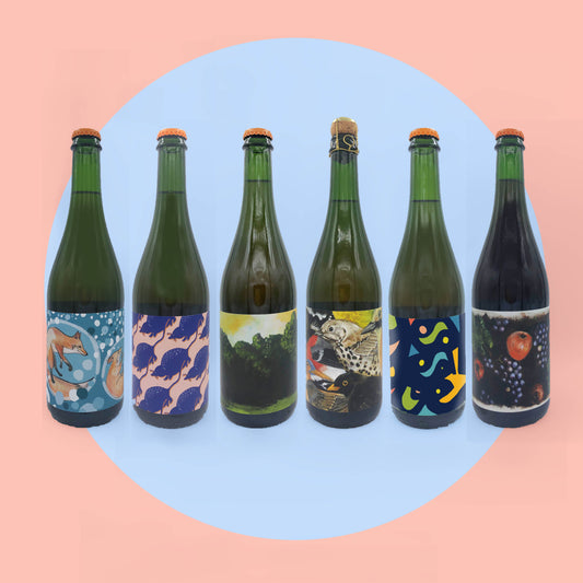 A little bit of everything mixed case (5x 75cl ciders, 1x 75cl skin contact cider)