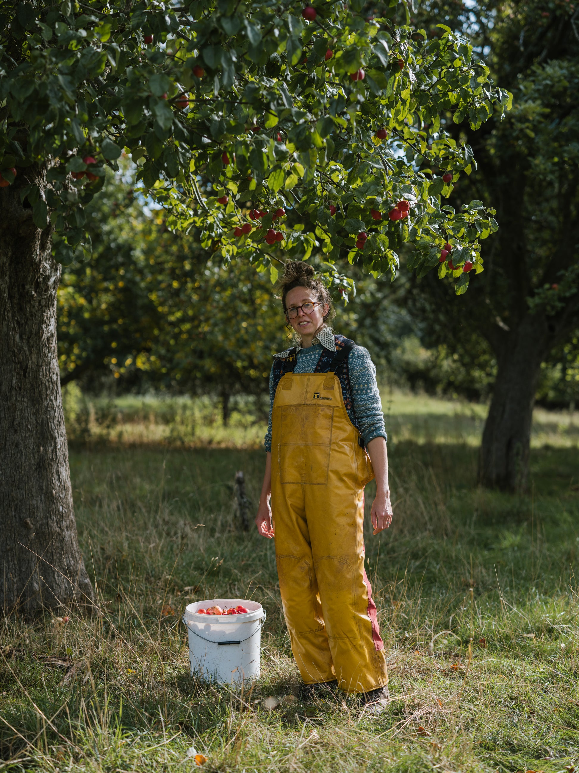 Person in yellow overalls standing under an apple tree, holding a bucket of apples.