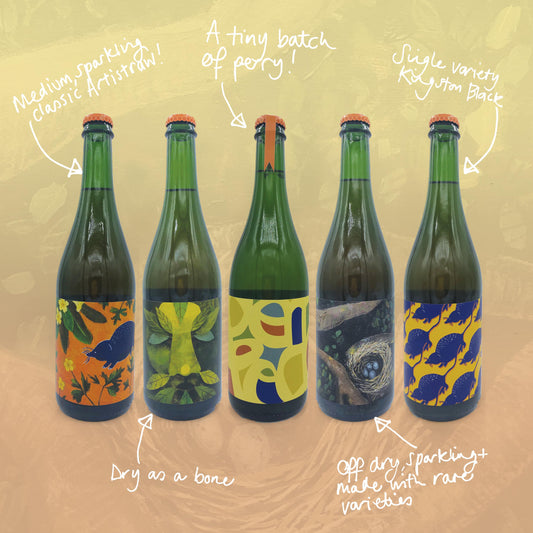 New releases mixed case plus 'Shrewminations zine' (4x 75cl ciders and 1x 75cl perry)