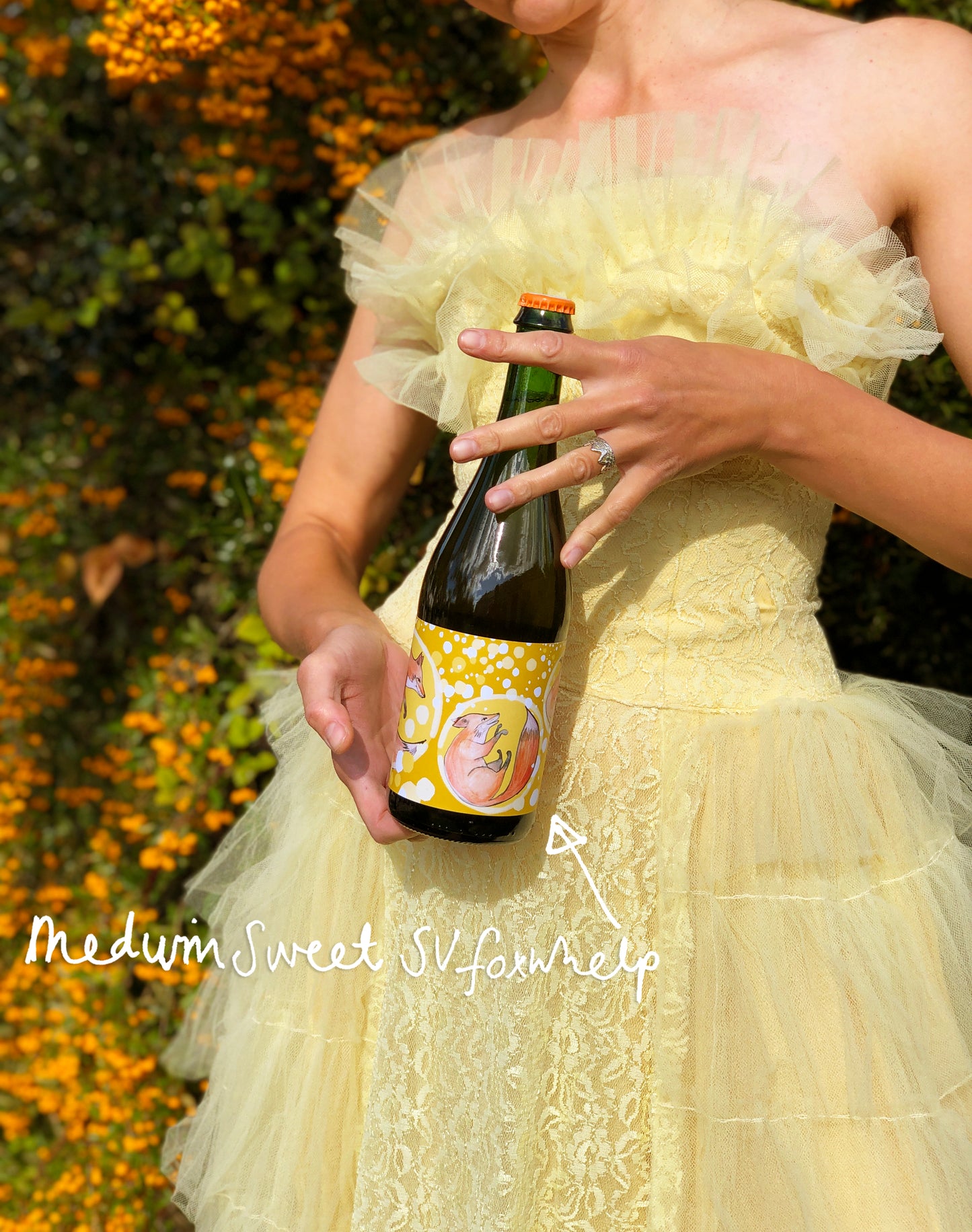 Single variety Foxwhelp cider (2023, medium sweet, pet nat)
