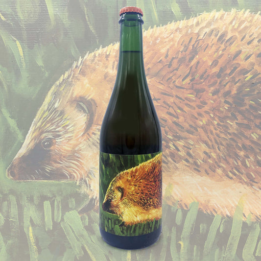 Urchin (Medium, perlant cider, 2025)